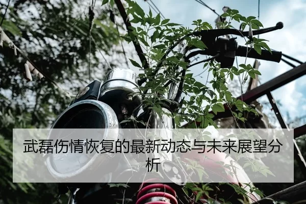 武磊伤情恢复的最新动态与未来展望分析
